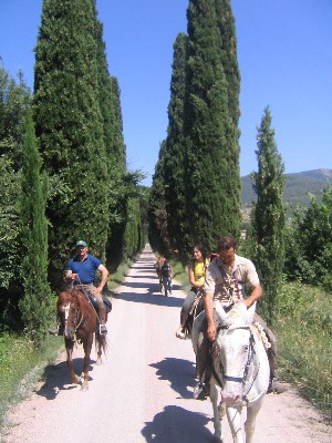horse riding tuscany