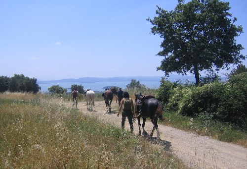 horse-riding in Tuscany